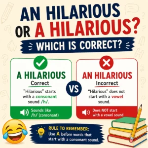 An Hilarious or a Hilarious? Which Is Correct?