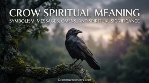 Crow Spiritual Meaning