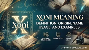 Xoni Meaning: Definition, Origin, Name Usage, and Examples